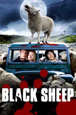 Black Sheep [Hindi-English]