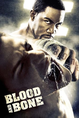 Blood and Bone [Hindi-English]