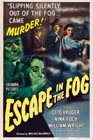 Escape in the Fog