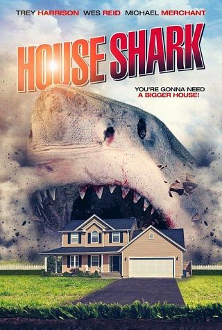 House Shark