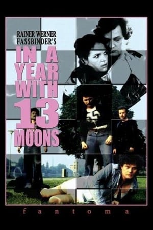 In a Year with 13 Moons