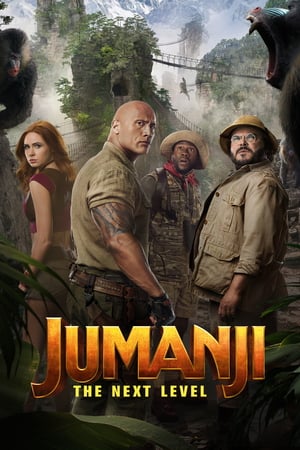 Jumanji: The Next Level (Hindi Dubbed)