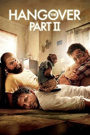 The Hangover Part II (Hindi Dubbed)